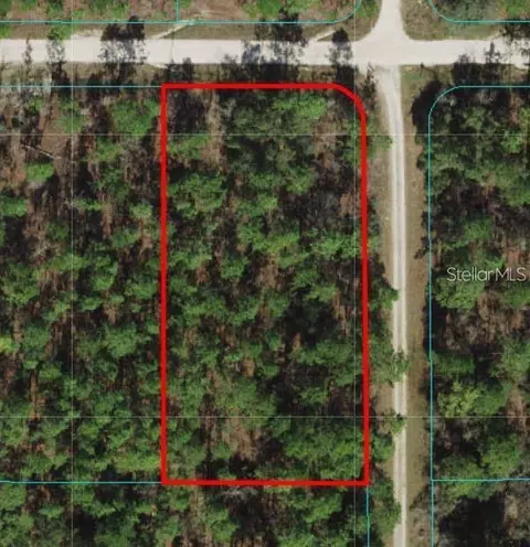 tbd SW 78th Pl, Dunnellon, FL 34432