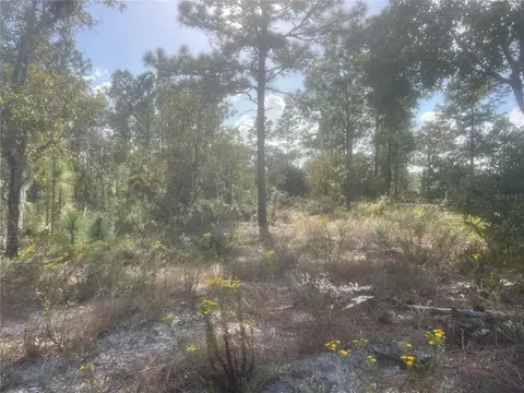 0 Marion Oaks Mnr, Ocala, FL 34473
