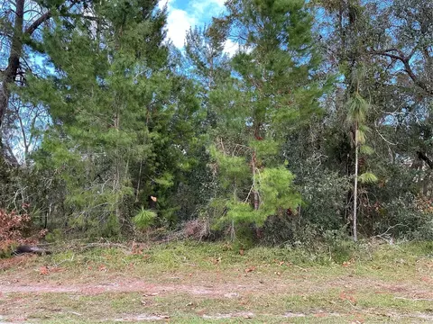 11136 Liberto Rd, Weeki Wachee, FL 34614