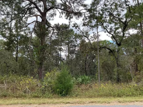 12137 Jaybird Rd, Weeki Wachee, FL 34614