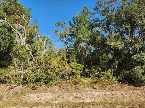 Riverstone Street, Webster, FL 33597