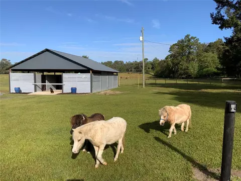 tbd W 329 Hwy, Reddick, FL 32686