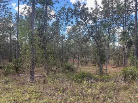 SE 129th Court, Dunnellon, FL 34431