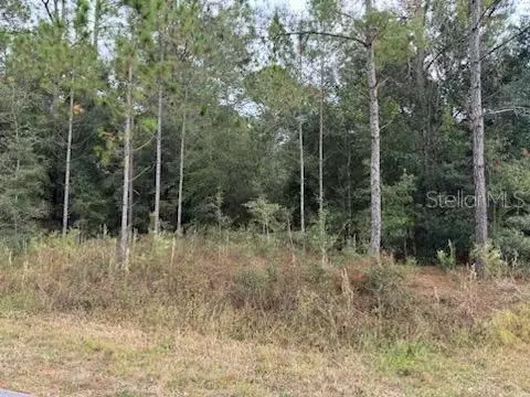 Undisclosed, Dunnellon, FL 34431