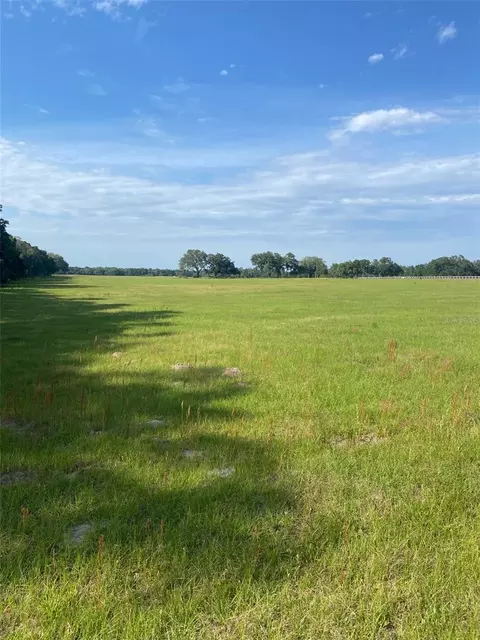 0 NW 163 Ter, Morriston, FL 32668