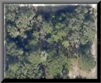 tbd NE 141st Ct, Fort Mc Coy, FL 32134