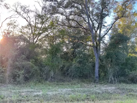 SW Willow Road, Dunnellon, FL 34431