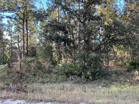 33441 Solway Dr, Webster, FL 33597
