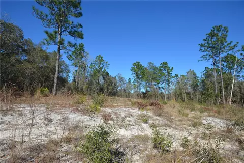 SW 144 Place, Ocala, FL 34473