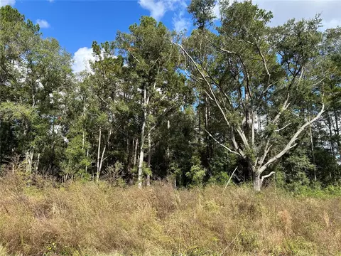 tbd NE Hwy 27 Alt, Williston, FL 32696