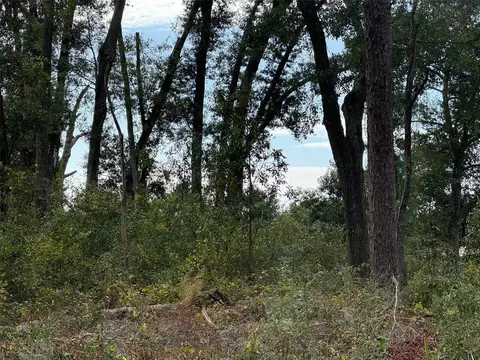lot13 SW 14 Sw 177th Ct, Dunnellon, FL 34432