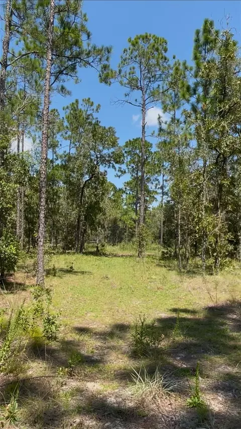 Sw Obee Ridge Rd, Dunnellon, FL 34431