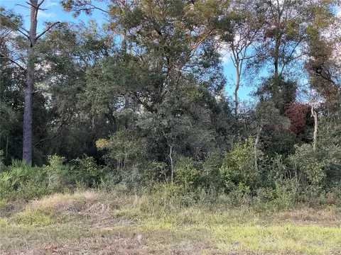 35031 Primrose Ln, Webster, FL 33597