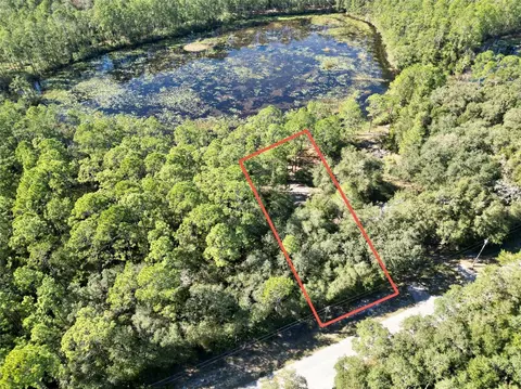 tbd NE 117th Ave, Fort Mc Coy, FL 32134