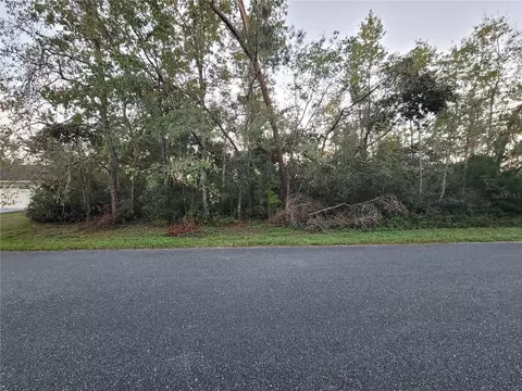 lot22 SW 156th Loop, Ocala, FL 34473