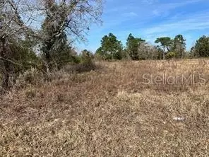 tbd SE 115 Place Rd, Ocklawaha, FL 32179
