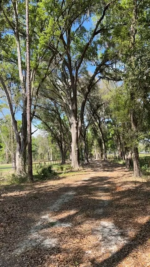 Se 145th Street, Summerfield, FL 34491