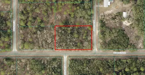tbd SW Lot 17 Sw Big Tree Rd, Dunnellon, FL 34431