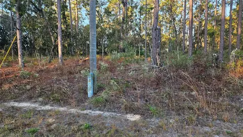 1981 W Oliver Dr, Citrus Springs, FL 34434