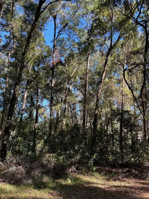 Tba SW 91st Loop, Dunnellon, FL 34432