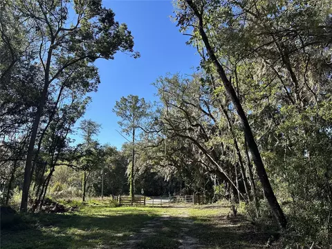 55 Ac W Hwy 318, Reddick, FL 32686 photo 9