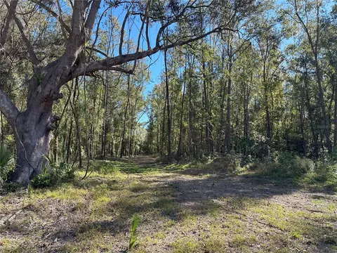 55 Ac W Hwy 318, Reddick, FL 32686 photo 4