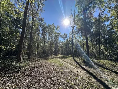 55 Ac W Hwy 318, Reddick, FL 32686 photo 7
