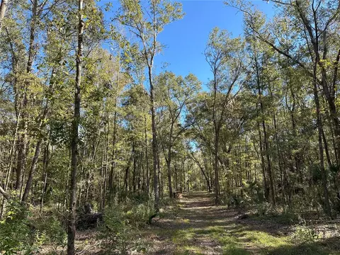 55 Ac W Hwy 318, Reddick, FL 32686 photo 2