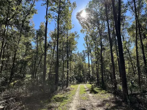 55 Ac W Hwy 318, Reddick, FL 32686 photo 8