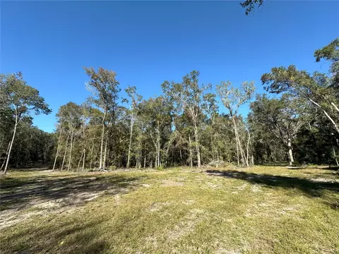 55 Ac W Hwy 318, Reddick, FL 32686 photo 5