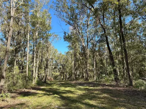 55 Ac W Hwy 318, Reddick, FL 32686