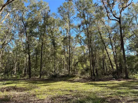 55 Ac W Hwy 318, Reddick, FL 32686 photo 3