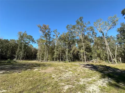 55 Ac W Hwy 318, Reddick, FL 32686 photo 6