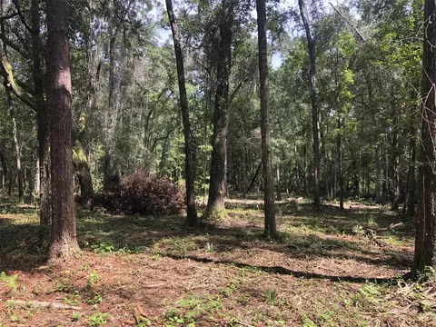 NE Ne 120th Avenue, Bronson, FL 32621