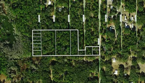 tbd NE 137th Ct, Fort Mc Coy, FL 32134