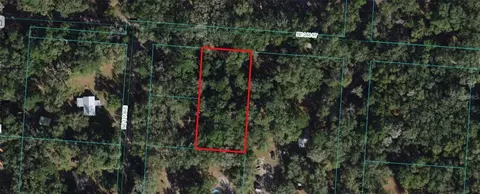 00 NE 244 St, Orange Springs, FL 32182