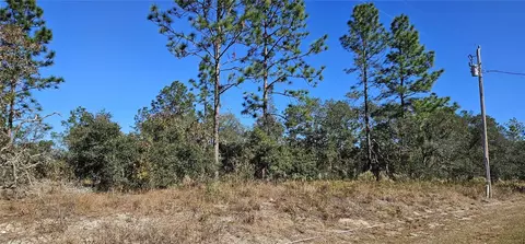 lot10 SW Nectarine Ln, Dunnellon, FL 34431