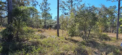 lot S 34 35 Sw Mango Ln, Dunnellon, FL 34431