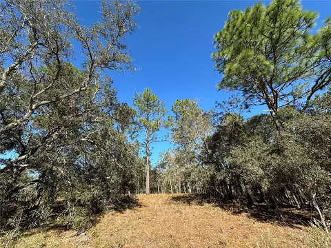 14731 SE 5th Pl, Williston, FL 32696