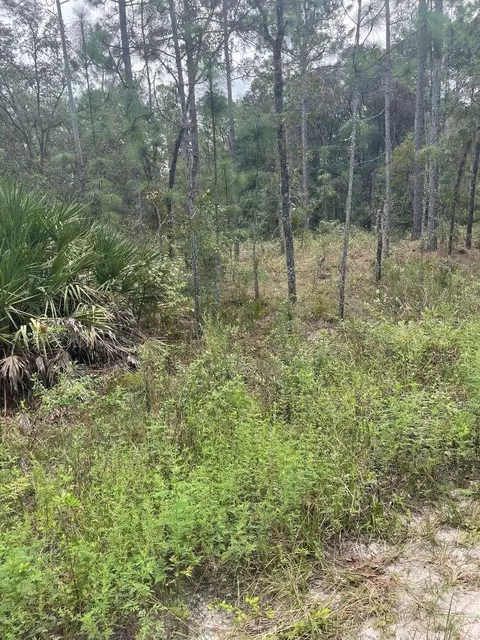 lot7 SW 159th Ave, Ocala, FL 34481