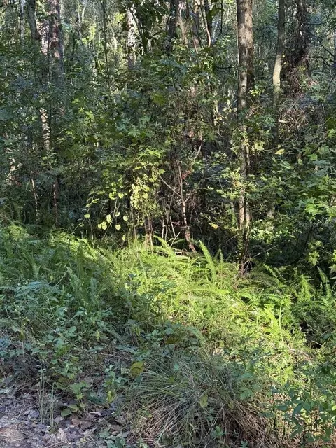 tbd NW 7th St, Ocala, FL 34482