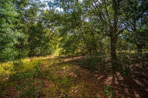 Locust Run Radl, Ocklawaha, FL 32179