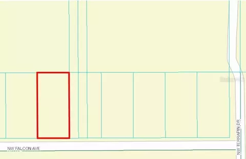23621 NW Falcon Ave, Dunnellon, FL 34431