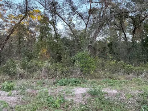 NW Ridgewood Road, Dunnellon, FL 34431