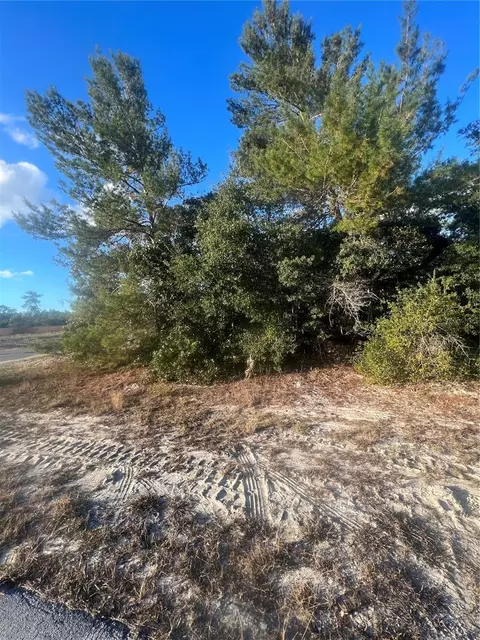 Tba SW 18th Avenue Road, Ocala, FL 34473
