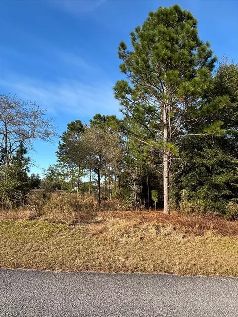lot18 SW 65th Loop, Dunnellon, FL 34432