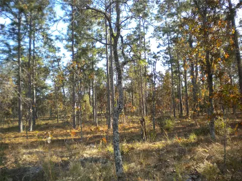 lot NW Apt 6 Nw Columbine Ave, Dunnellon, FL 34431