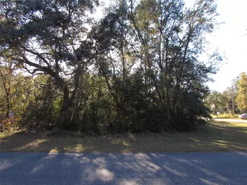 60 W Navarro Pl, Citrus Springs, FL 34434