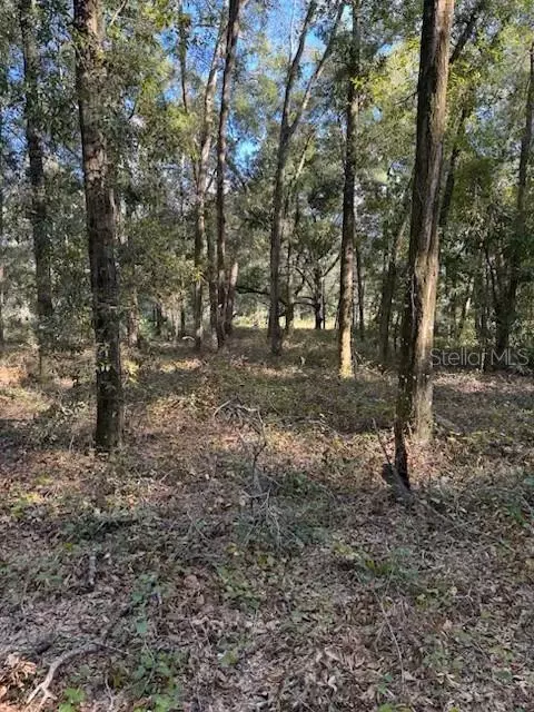 SE Hwy 42, Summerfield, FL 34491