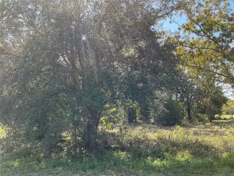 SE 112 Place, Ocklawaha, FL 32179